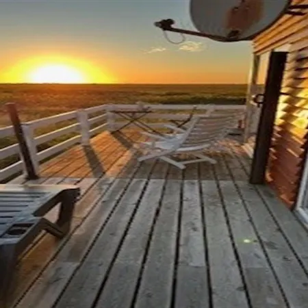 Semesterbostad Blomma - 350m From The Sea In Western Jutland By Interhome